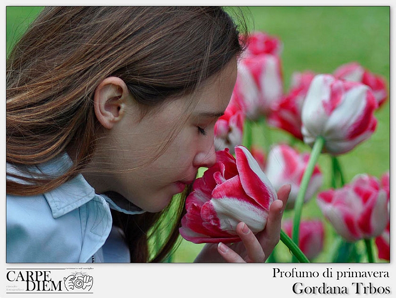 Profumo di primavera.jpg